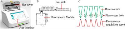 Novel miniaturized fluorescence loop-mediated isothermal amplification detection system for rapid on-site virus detection